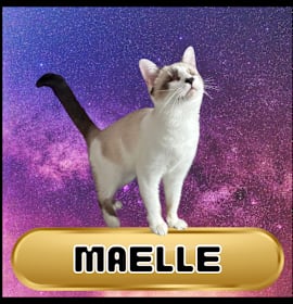 Photo of Maelle
