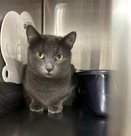 Photo of Jammin Jalapeno