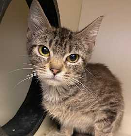 Photo of Betty Lou Who