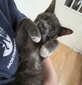 Photo of Mr McFeeley