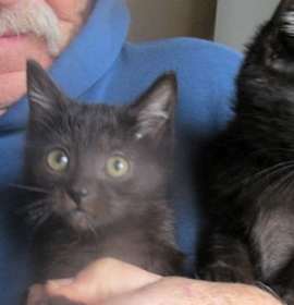 Photo of Almond & Hickory