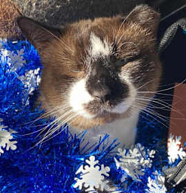 Photo of Wrecking Ball