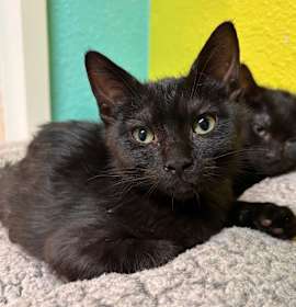 Photo of Professor Utonium