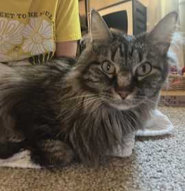 Photo of Holly Jolly