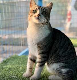 Photo of Storm, the Beautiful Boy