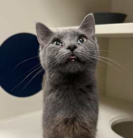 Photo of Mariah Carey