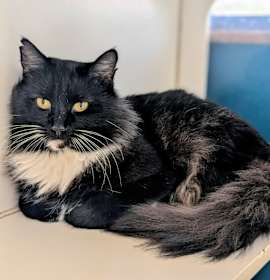 Photo of Rue 25-6493F