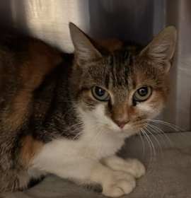 Photo of Mable-Stratford