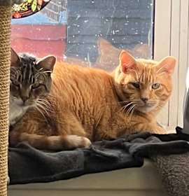 Photo of Ron + Guillermo!