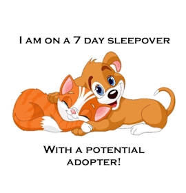 Photo of Eve C25-297