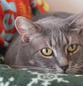 Photo of Bella W 121925