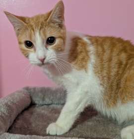 Photo of 7406 Utility