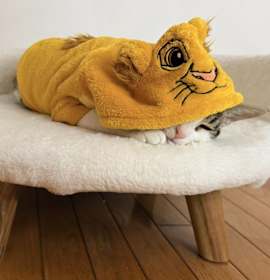 Photo of Prince Simba