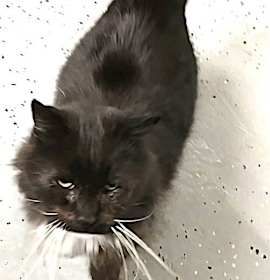 Photo of Coffee Latte