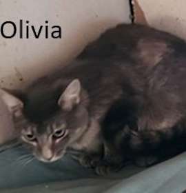 Photo of Olivia