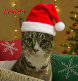 Photo of Freida