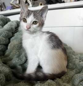 Photo of Daphne 4947