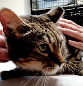 Photo of Aspen 121925