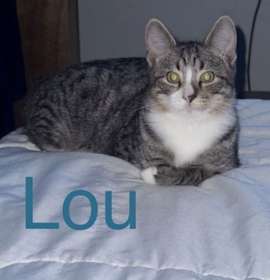 Photo of LOU
