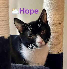 Photo of Hope