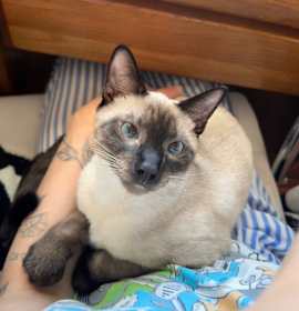 Photo of Billie Bean