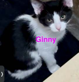 Photo of Ginny