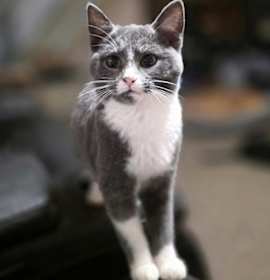 Photo of Mail Stop : Fishstick