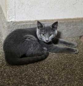 Photo of Mail Stop : Taco