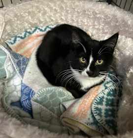 Photo of Phillipe and Gatsby