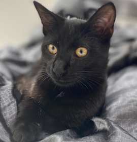 Photo of Blain Rockbridge