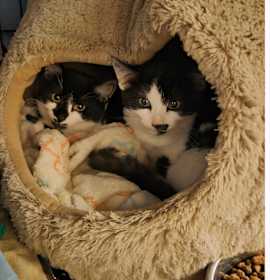 Photo of 2025-167 Slots