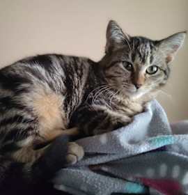 Photo of Cami and Cece