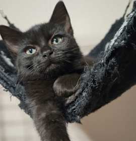 Photo of Cece and Cami