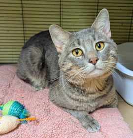 Photo of Mason (TAS #5)