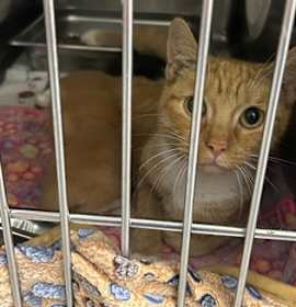 Photo of Google Maps