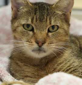 Photo of Debby 60958