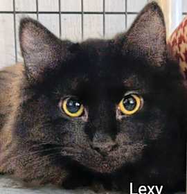 Photo of Lexy