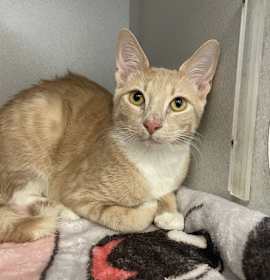 Photo of Aaron & Zak