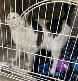 Photo of 2025-12-006