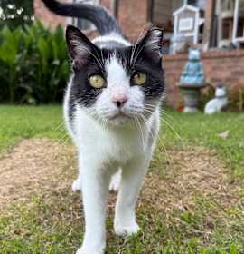 Photo of Leanna - Feral