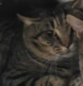 Photo of Actor 25-1713