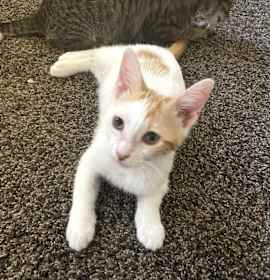 Photo of Fifty Fifty