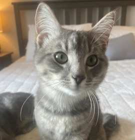 Photo of Wilbur Flint