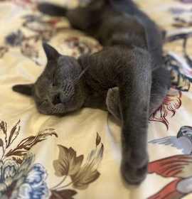 Photo of Luna & Louis