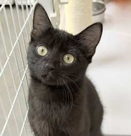 Photo of 25-43 Quinnly