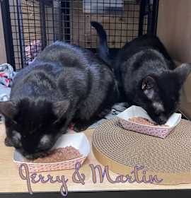 Photo of Jerry (and Martin)