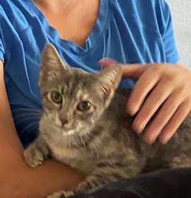 Photo of MOXIE FOSTER