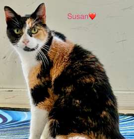 Photo of Susan