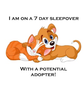 Photo of Noelani C25-298