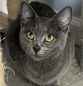 Photo of Velma Dinkley